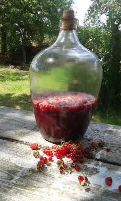 Ratafia - nalewka wieloowocowa